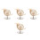 4 Pezzi Mini Corno Francese Fatto Con Custodia E 7