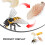 1 Set Da 4 Ciclo Dell'Ape Giocattoli Educativi 8