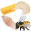 1 Set Da 4 Ciclo Dell'Ape Giocattoli Educativi 11
