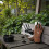 Westland SureFit Leather Gardening Gloves Small 4