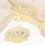 Set Fossile Kit Educativo Scheletro 7