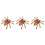 3Pcs Plastic Spider Toy Model For Halloween Decor And Fun 5