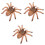 3Pcs Plastic Spider Toy Model For Halloween Decor And Fun 4
