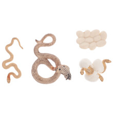 3 Sets Kinder Lernspielzeug Wachstumszyklus Figuren