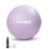 KAYMAN 65cm Exercise Ball Lavender Mist Anti-Burst System 1