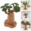 Mini Modelbomen PVC Voor En Diorama Landschap Multi 11