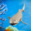 High Simulation Shark Tiermodell Organismus Deko 6