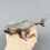High Simulation Shark Tiermodell Organismus Deko 7
