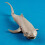 High Simulation Shark Tiermodell Organismus Deko 5