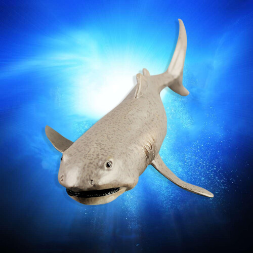 High Simulation Shark Tiermodell Organismus Deko 2