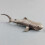 High Simulation Shark Tiermodell Organismus Deko 9