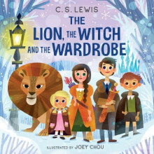 The Lion the Witch and the Wardrobe by C. S. Lewis Other Book