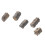 2 Fossiel Sierobject Decoratief Lesmateriaal 1