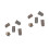 2 Fossiel Sierobject Decoratief Lesmateriaal 6
