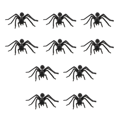 20 Echte Schwarze Ameisen Für Halloween Deko 1