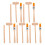 4 Sets Graafgereedschap Voor Opgravingen Kit Kinderen 3