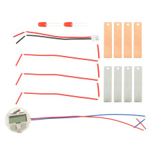 6 Sets Wissenschaftliches Experiment Obstbatterie Diy