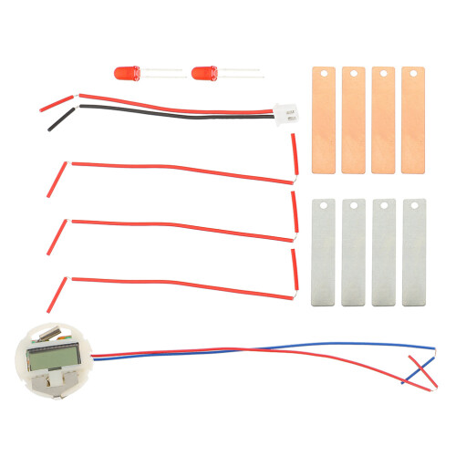 6 Sets Wissenschaftliches Experiment Obstbatterie Diy