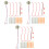 6 Sets Wissenschaftliches Experiment Obstbatterie Diy 5