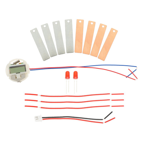 6 Sets Wissenschaftliches Experiment Obstbatterie Diy 2