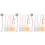 6 Sets Wissenschaftliches Experiment Obstbatterie Diy 6