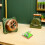 4 Sets DIY Handgenerator Experiment Spielzeug Für Grundschüler 5