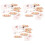 3 Set Giocattoli Educativi Con Per 4