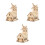 3 Set Kit 3D In Legno Per Mulino A Casa Da Te 10