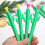 10 Pezzi Propulsiva A Cactus In Per Studenti 6