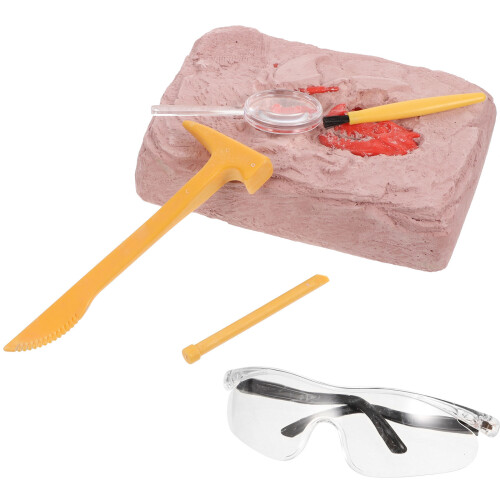 3 Sets Diy Opgraving Speelgoed Met Fossiele 1