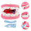 Conjunto De Brinquedo Educativo -Escolar Com Dentes E Órgão De Pelúcia 4