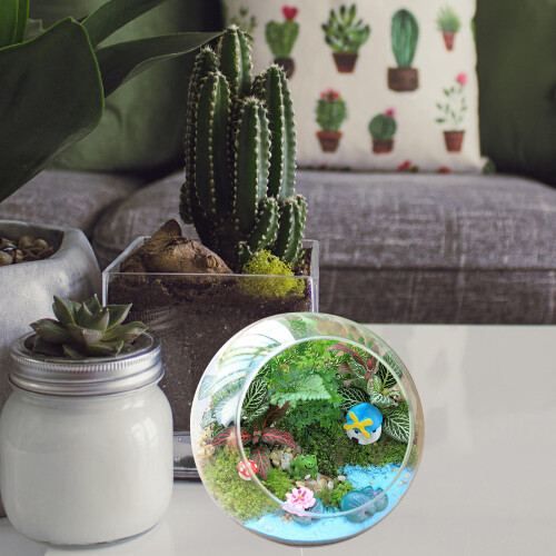 De Grama Pó E Para Decoração 1