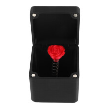 De Presente Dia Namorados Rosa Para