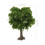 Miniature Trees Para Artesanato DIY - De Plástico Para 2