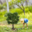 Miniature Trees Para Artesanato DIY - De Plástico Para 7