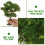 Miniature Trees Para Artesanato DIY - De Plástico Para 8