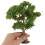Miniature Trees Para Artesanato DIY - De Plástico Para 4