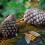 1 Conjunto Animal Simulado Decoração Crianças 7