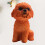 1 Mini Poodle Para Decoração 6