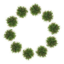 40St Handgemaakte Roze Gras Clusters Voor Miniatuur En Modelbouw