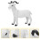 1 Simulada Brinquedo Animal Educativo Crianças 5