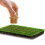 1 Césped Artificial Premium Modelado Duradero 5