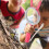 Handheld Lupe Für Kinder Lupe 4