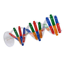 4 Sets DNA Modell Menschliche Gene Zum Zusammenbauen Für Kinder
