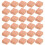 40St Mini Bakstenen Voor Creatieve DIY Micro Landschap Projecten 5