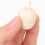 20 Stuks Ongeverfde Fruit Diy Handwerk Schilderij 10