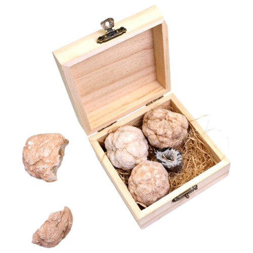 2 Boxen Edelstein Ausgrabungs Set Gesteins Sammlung 2