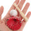 Baseballschläger Handschuh Ball Set Kleines Sportzubehör 11
