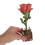 3D Bloemmodel DIY Puzzelset Handwerk Cadeau 4