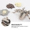 1 Set Simulationstier Evolution Modell Spielzeug Partydekoration 8